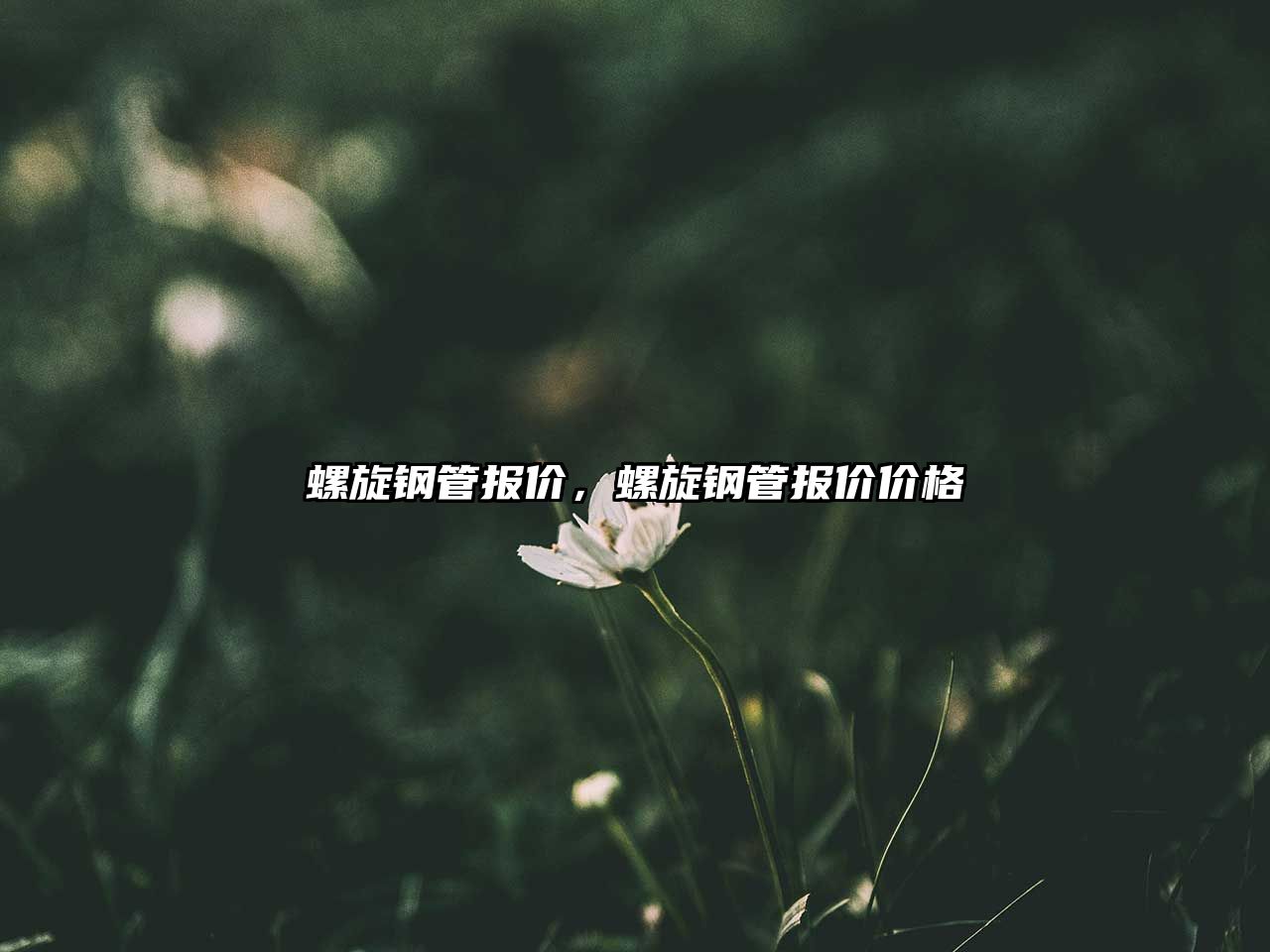 螺旋鋼管報價，螺旋鋼管報價價格
