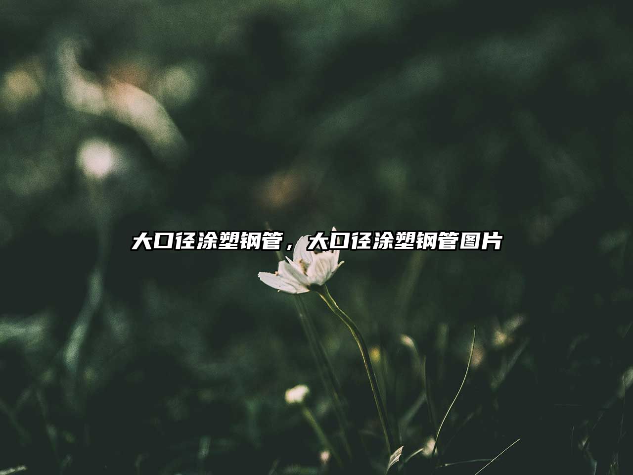 大口徑涂塑鋼管，大口徑涂塑鋼管圖片
