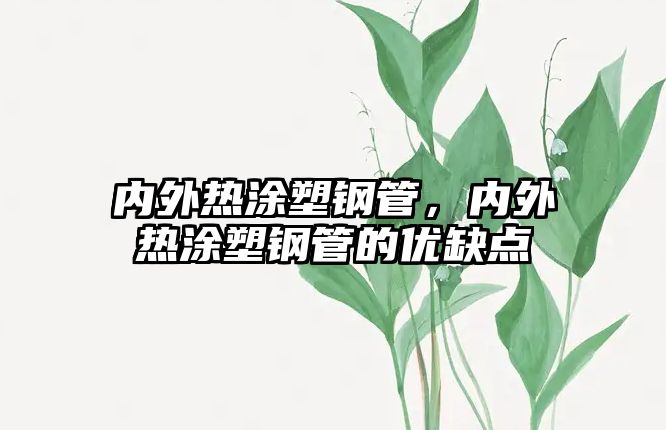 內(nèi)外熱涂塑鋼管，內(nèi)外熱涂塑鋼管的優(yōu)缺點(diǎn)