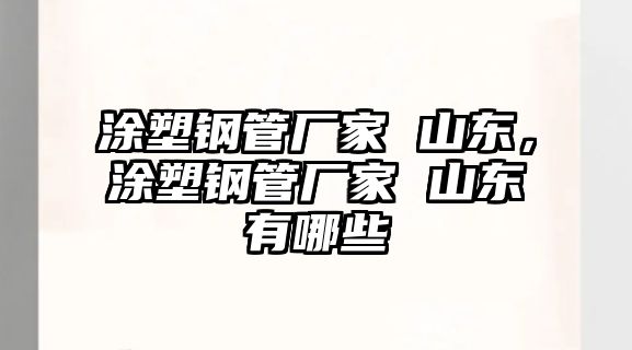 涂塑鋼管廠家 山東，涂塑鋼管廠家 山東有哪些