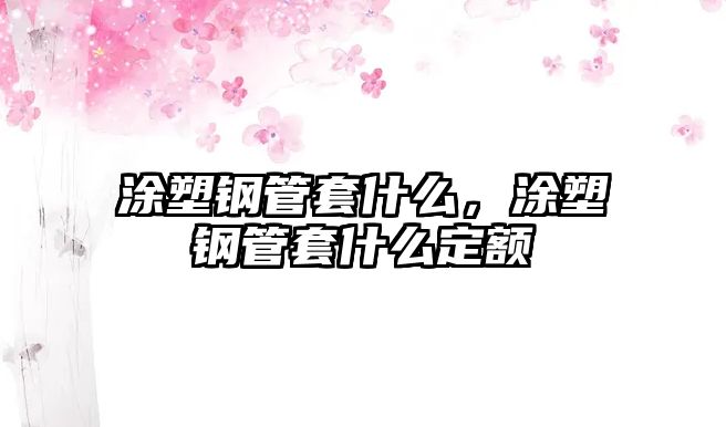 涂塑鋼管套什么，涂塑鋼管套什么定額
