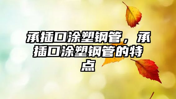 承插口涂塑鋼管，承插口涂塑鋼管的特點(diǎn)