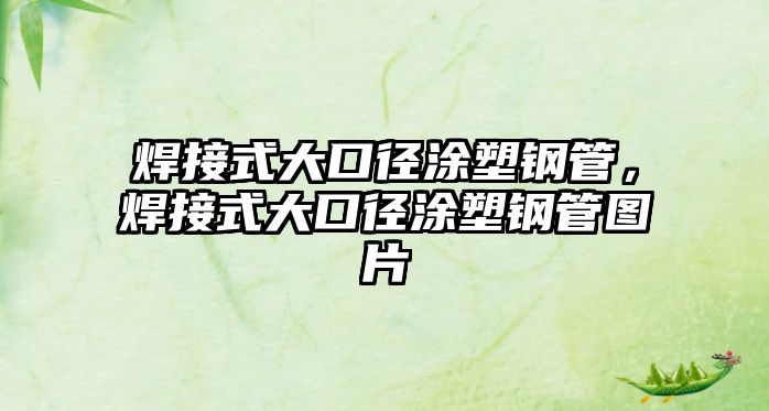 焊接式大口徑涂塑鋼管，焊接式大口徑涂塑鋼管圖片