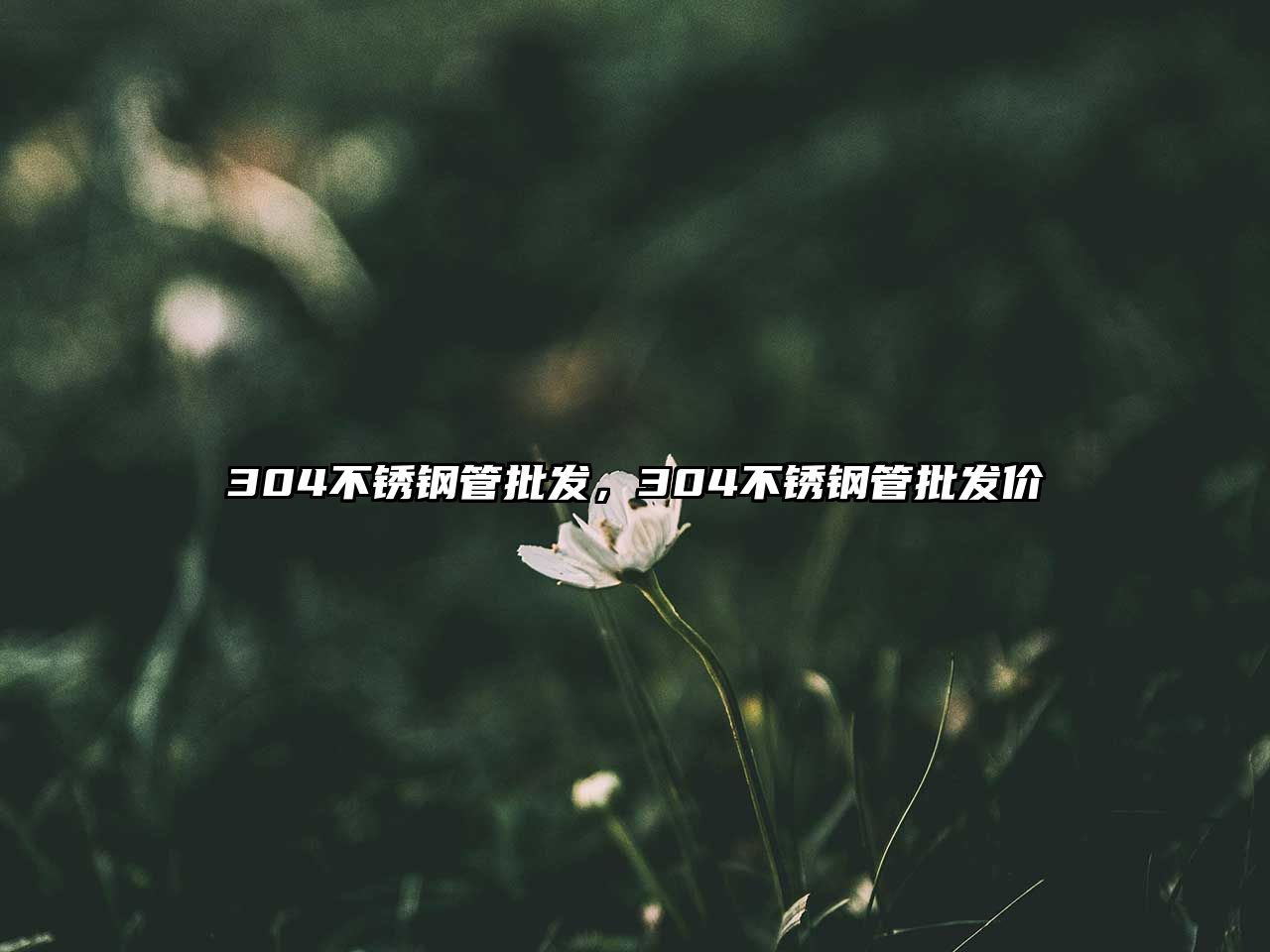 304不銹鋼管批發(fā)，304不銹鋼管批發(fā)價(jià)