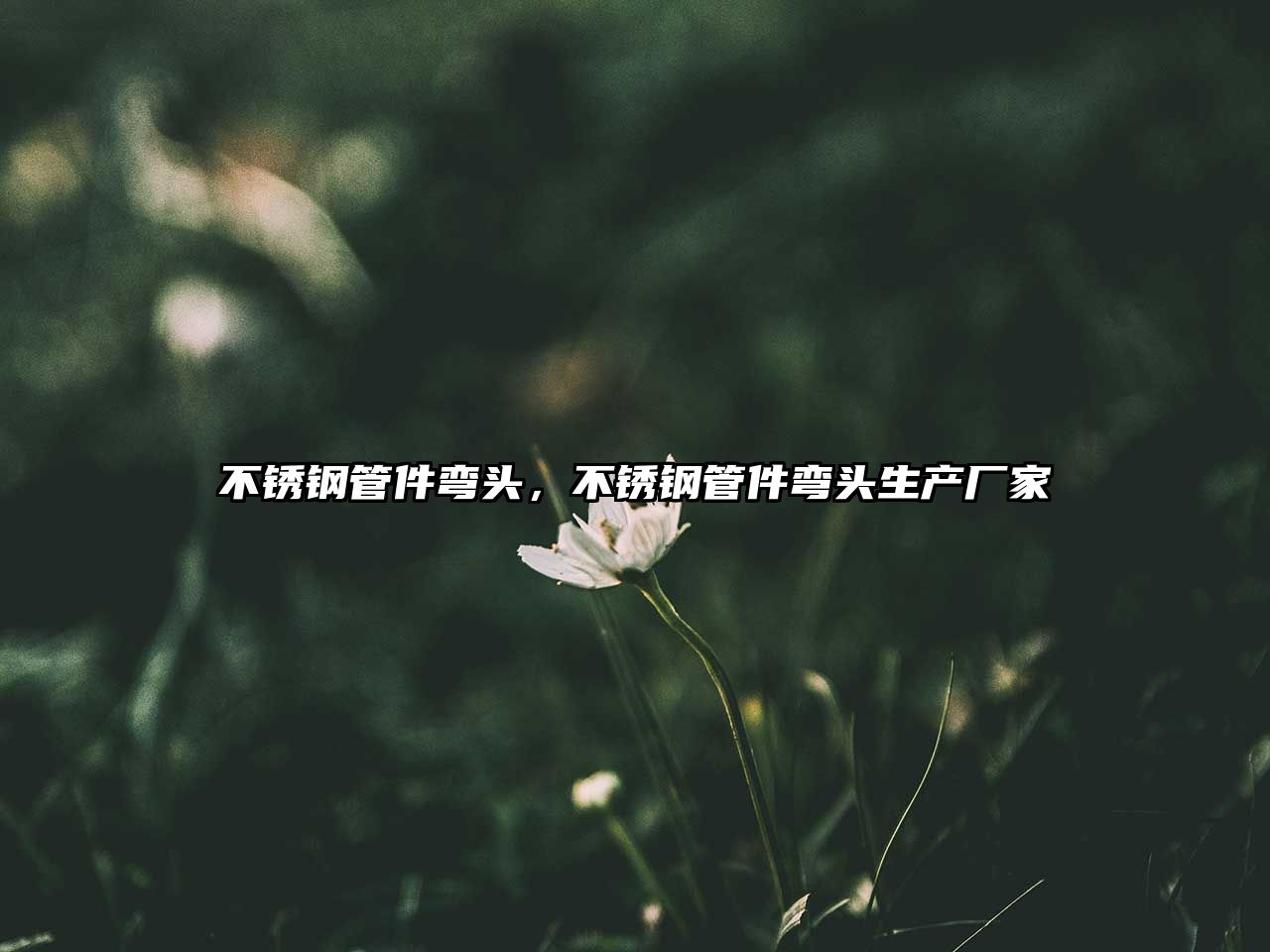 不銹鋼管件彎頭，不銹鋼管件彎頭生產(chǎn)廠家