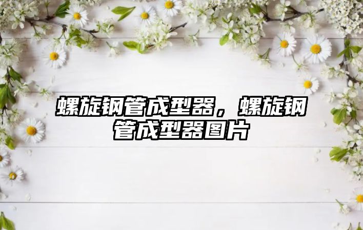 螺旋鋼管成型器，螺旋鋼管成型器圖片