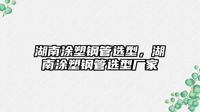 湖南涂塑鋼管選型，湖南涂塑鋼管選型廠家