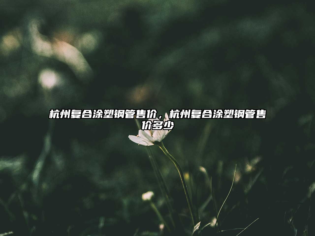 杭州復(fù)合涂塑鋼管售價，杭州復(fù)合涂塑鋼管售價多少
