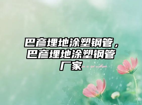 巴彥埋地涂塑鋼管，巴彥埋地涂塑鋼管廠家