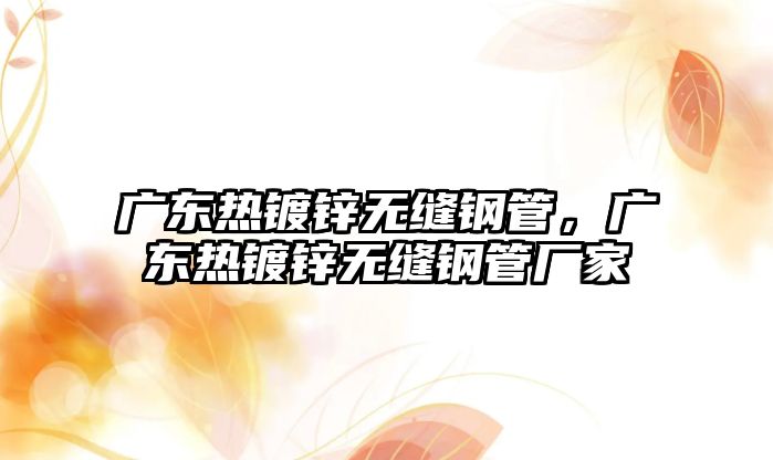 廣東熱鍍鋅無(wú)縫鋼管，廣東熱鍍鋅無(wú)縫鋼管廠家